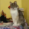 Отзыв от Евгения Данилова